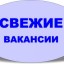 Подработка для домохозяек